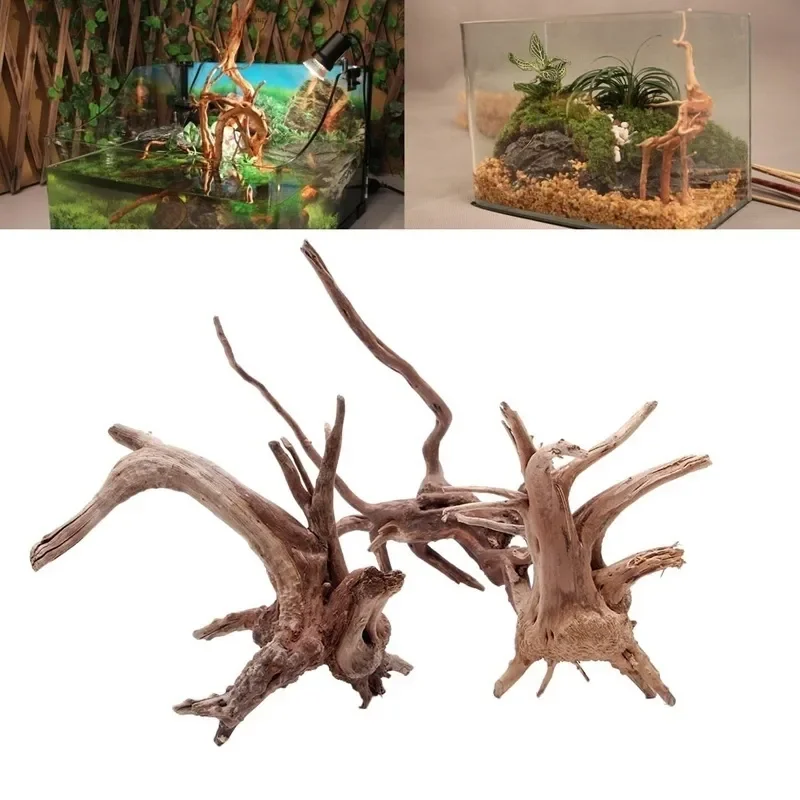 Marine Aquarium All In One - ต้นไม้ธรรมชาติลำต้นไม้ดริฟท์วู้ดตู้ปลาตู้ปลาตู้ปลาตู้ปลาตู้ปลาที่รากกระบอกพืชไม้เครื่องประดับตกแต่งสำหรับพืชในตู้ปลา