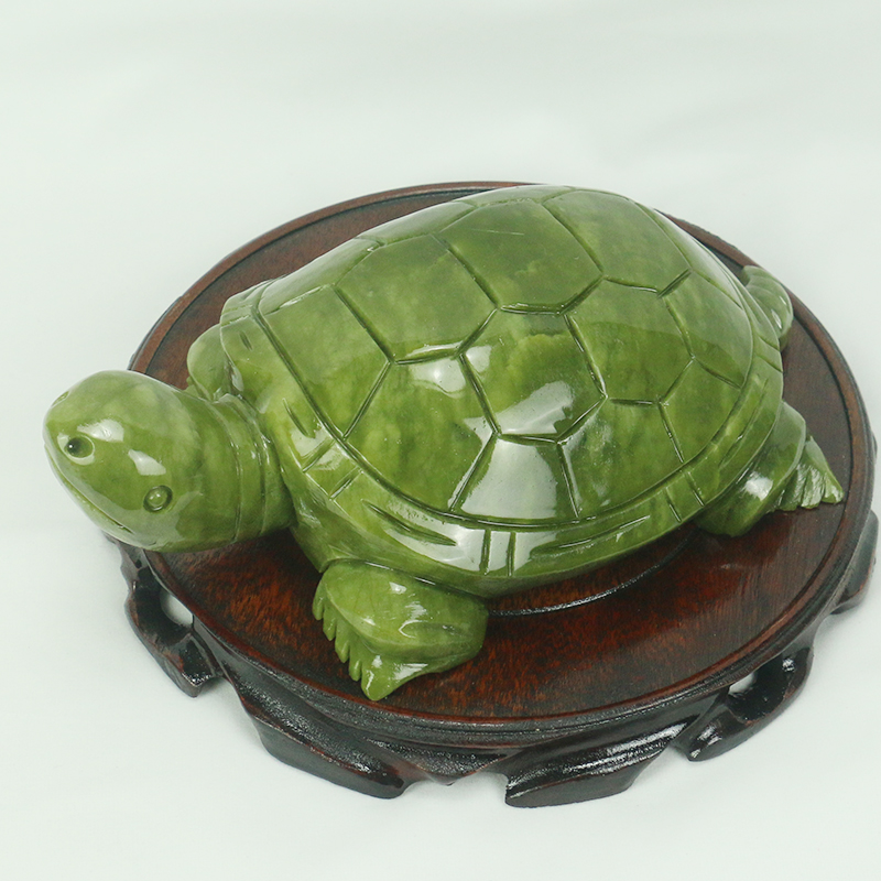 หยกธรรมชาติ/เต่าประติมากรรม/ตก - Marine Aquarium All In One บทวิจารณ์และราคา