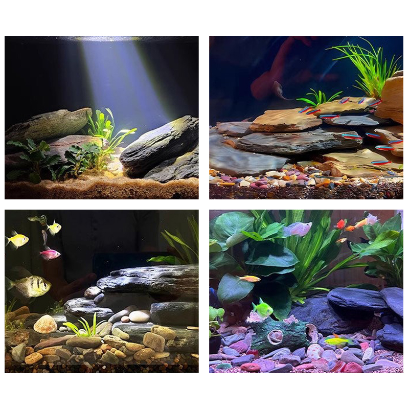 ชุดหินตกแต่งตู้ปลา 500/1000 กร - Marine Aquarium Tanks บทวิจารณ์และราคา