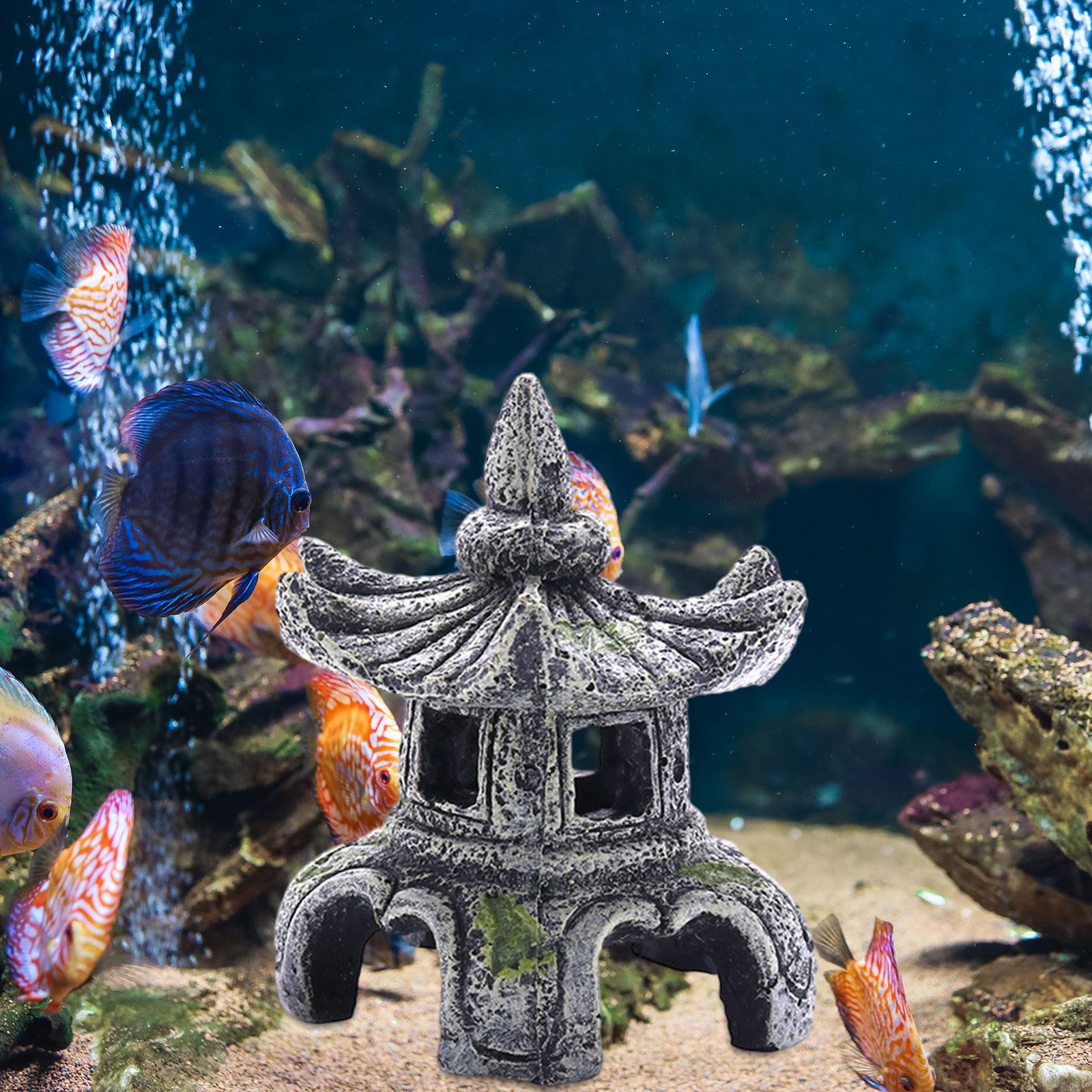 โคมไฟหินสำหรับตกแต่งตู้ปลาแบบอ - Marine Aquarium All In One บทวิจารณ์และราคา