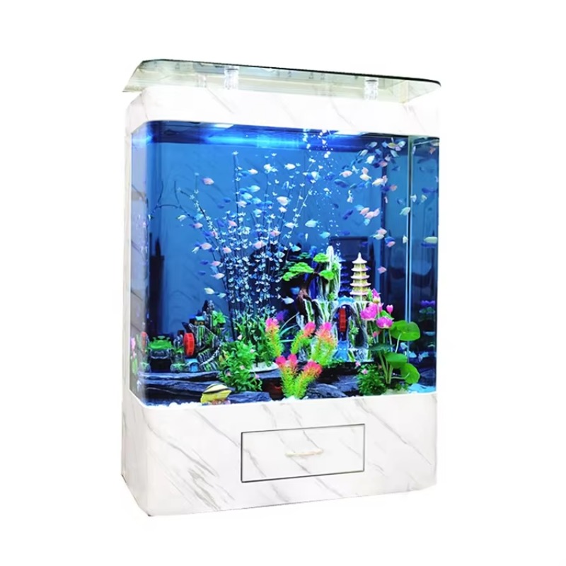 ตู้ปลาแก้วขนาด 200 แกลลอน ดีไซ - Marine Aquarium Design บทวิจารณ์และราคา