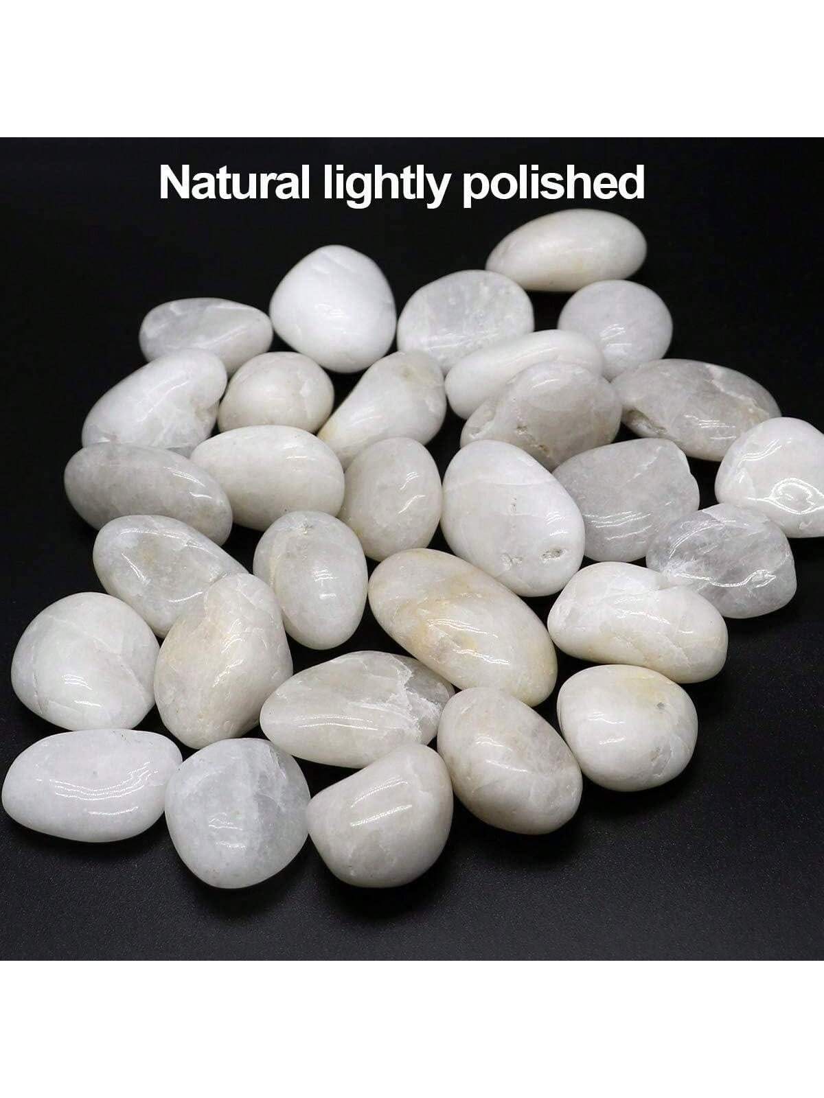 River Rocks ตกแต่งประดับสีขาว  - Marine Aquarium Tanks บทวิจารณ์และราคา