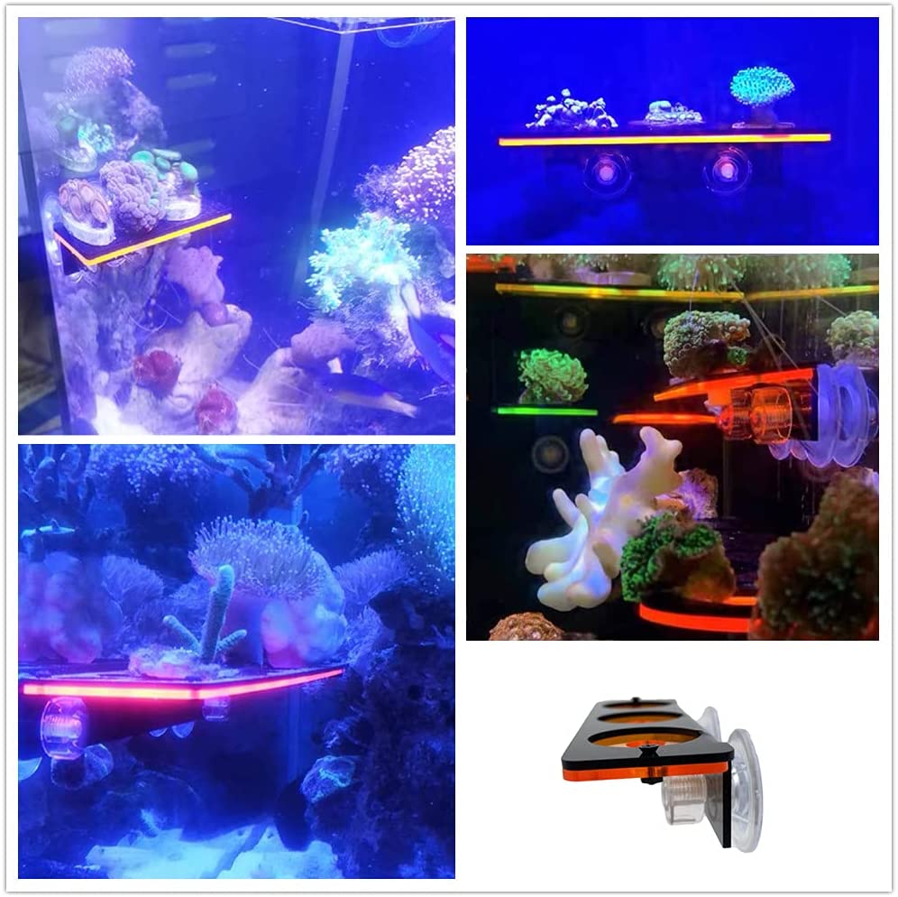 เรืองแสง Coral Frag ปลั๊กยึดปล - Marine Aquarium All In One บทวิจารณ์และราคา
