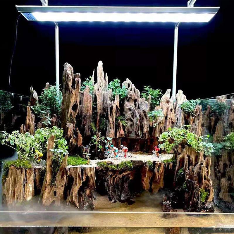 △   ไม้ตกแต่งตู้ปลา ไม้ลอยน้ำ  - Marine Aquarium All In One บทวิจารณ์และราคา