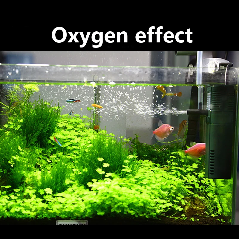 Sunsun 311B 111B ขนาดเล็กนาโน6 - Marine Aquarium Design บทวิจารณ์และราคา
