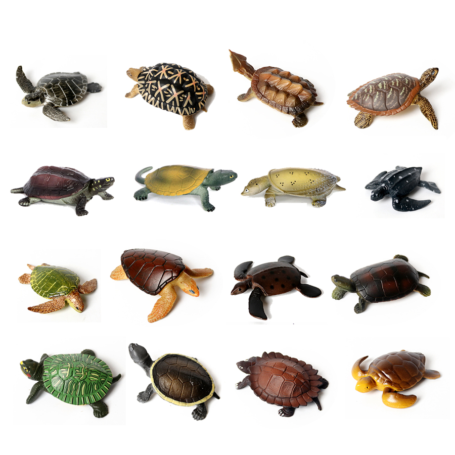 โมเดลเต่าทะเลขนาดเล็กเหมือนจริ - Marine Aquarium Tanks บทวิจารณ์และราคา